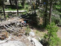 YosemiteCreek 003 : YosemiteCreek